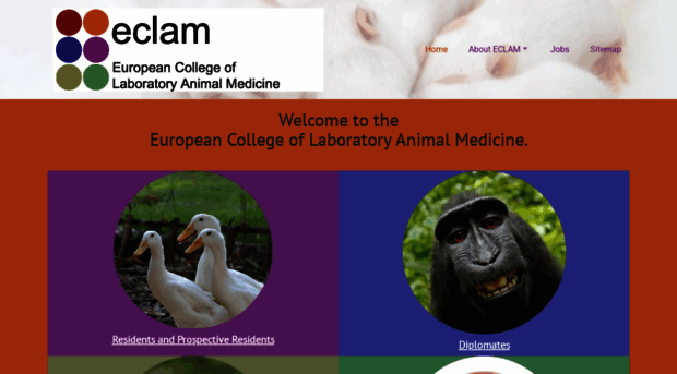 eclam.eu