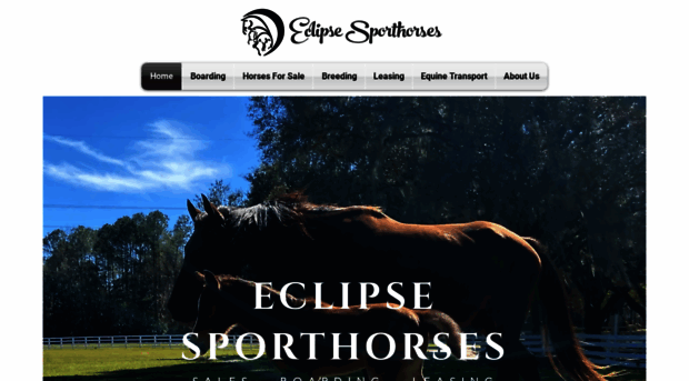 eclipsesporthorses.com