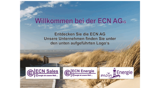 ecn-group.de