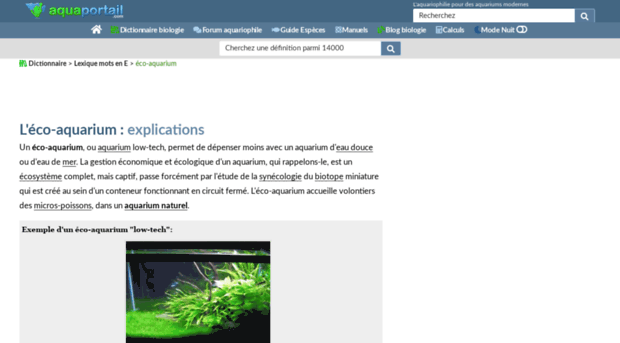 Éco-aquarium : définition et explications