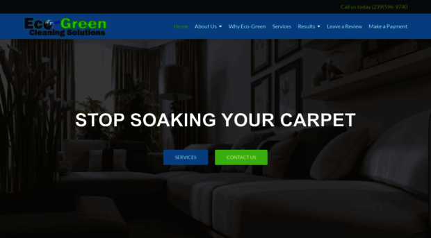 eco-greencleaningsolutions.com