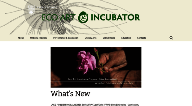 ecoartincubator.com