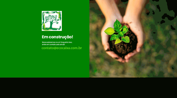 ecocaixadepapelao.com.br