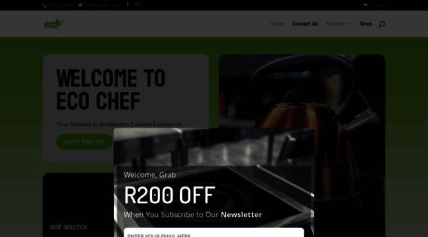 ecochef.co.za