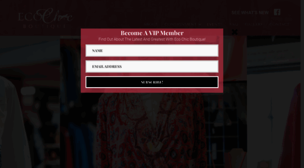 ecochicboutique.us