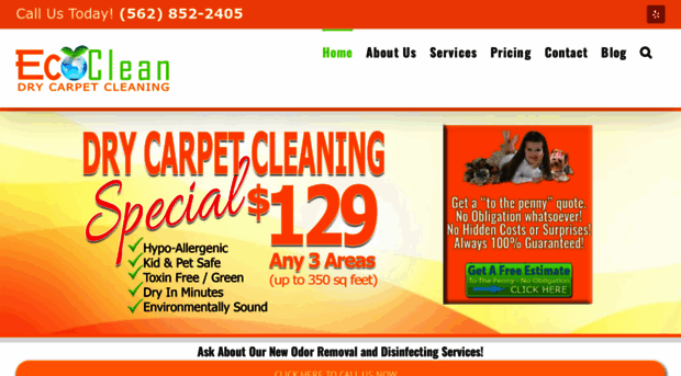 ecocleandrycarpet.com