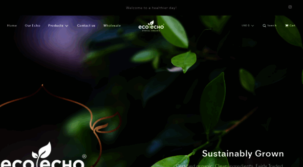 ecoechoethical.com