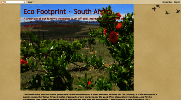 ecofootprintsa.blogspot.com