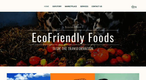 ecofriendly.com