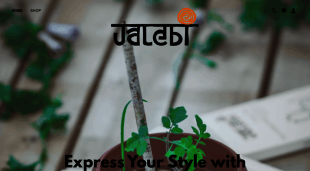 ecofriendlyjalebi.com