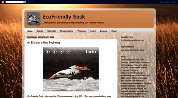 ecofriendlysask.ca