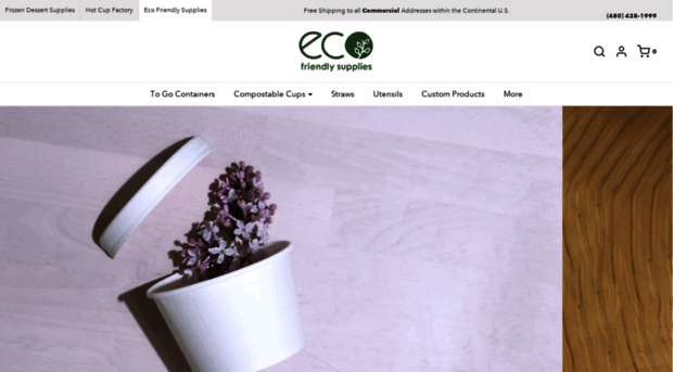 ecofriendlysupplies.com