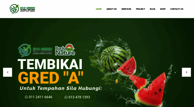 ecogreenmalaysia.com