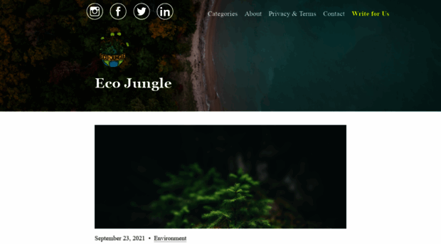 ecojungle.net