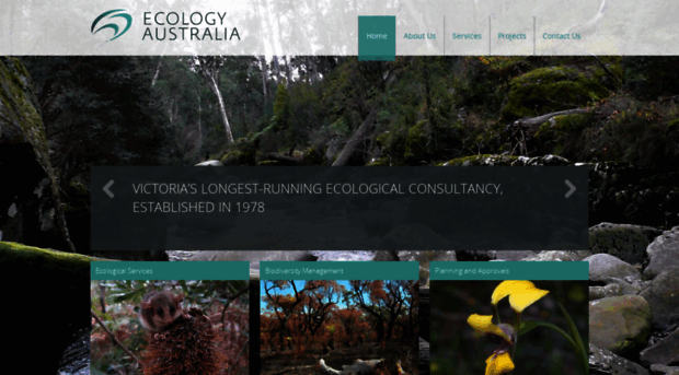 ecologyaustralia.com.au
