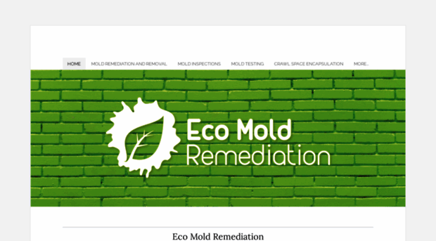 ecomoldremediation.com