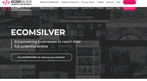 ecomsilver.com