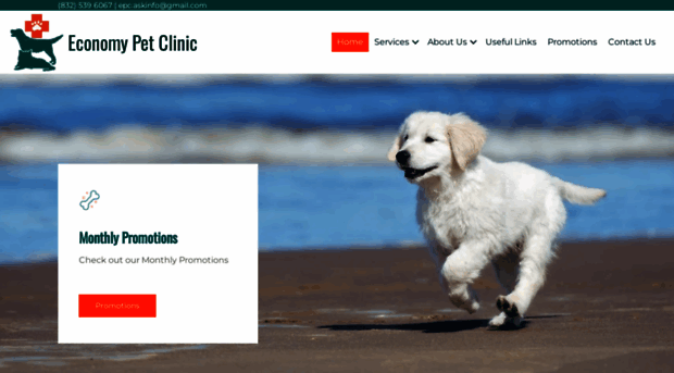 economypetclinic.com