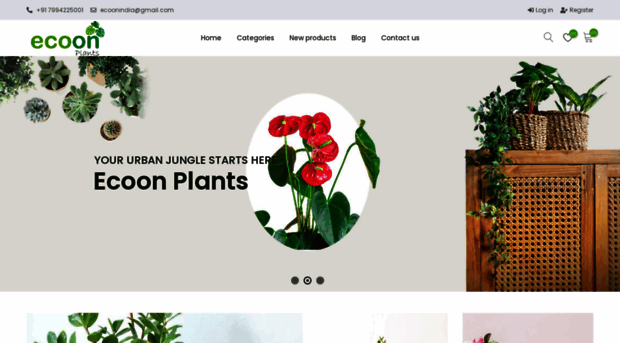 ecoonplants.com
