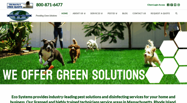 ecopestcontrol.com