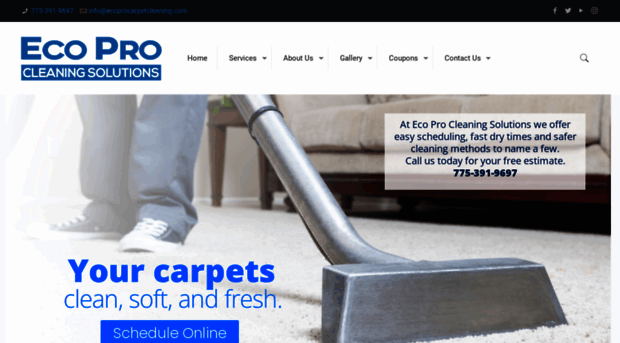 ecoprocarpetcleaningreno.com