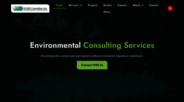 ecorpconsulting.com