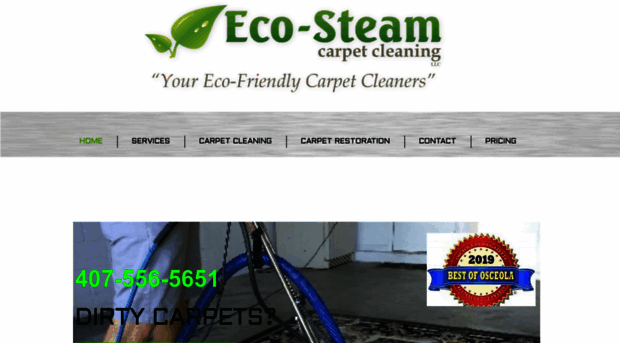 ecosteamcarpetcleaning.com
