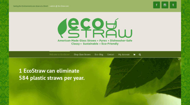 ecostraw.com