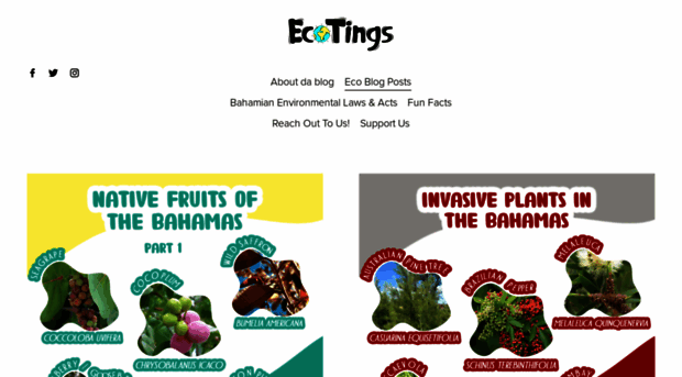 ecotingsbah.squarespace.com
