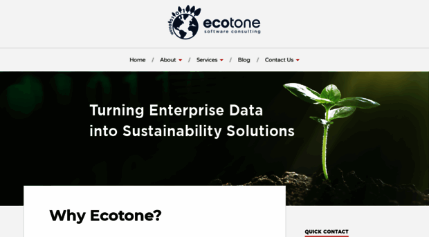 ecotonesoftware.com