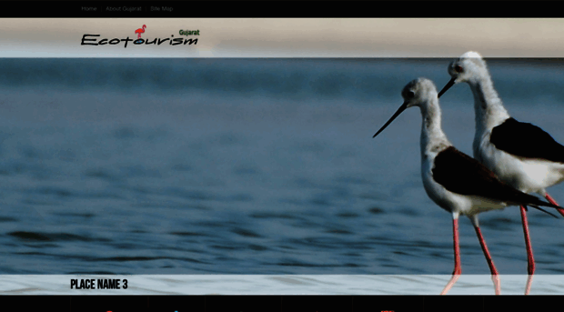 ecotourismgujarat.com