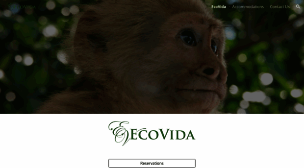 ecovidatours.com