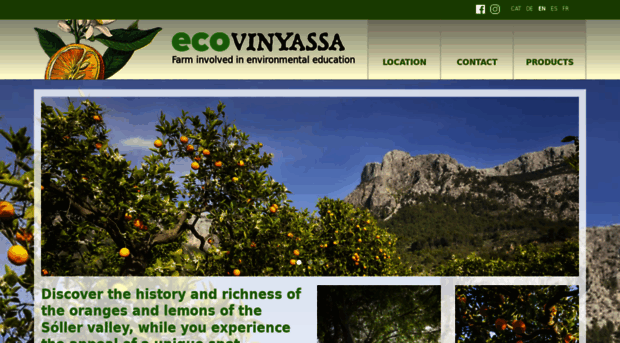 ecovinyassa.com