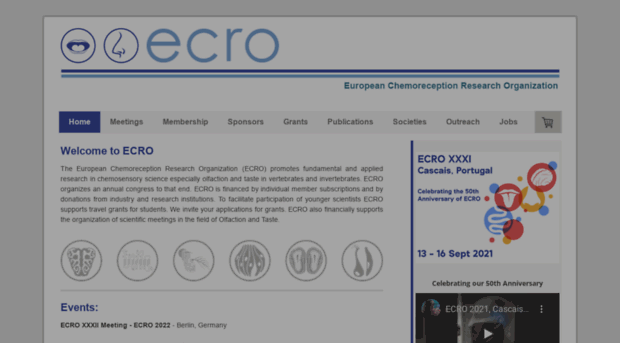 ecro-online.com