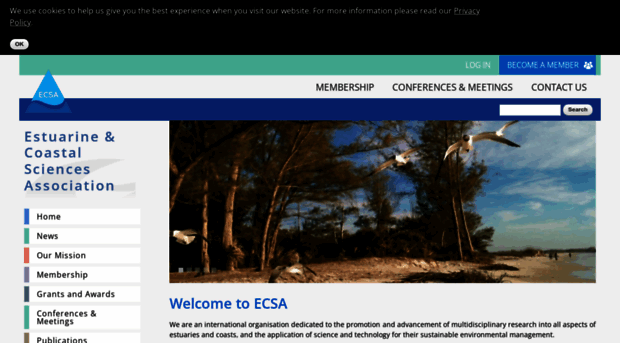 ecsa.international