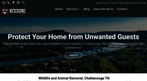 edgewildliferemoval.com