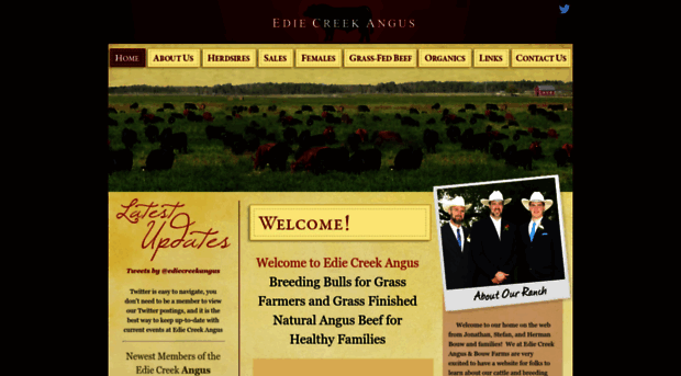 ediecreekangus.com