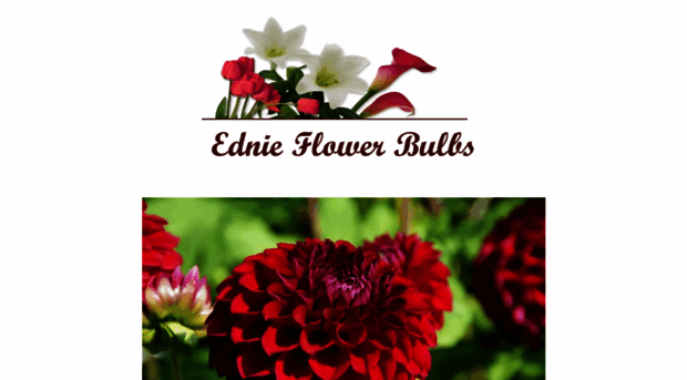 ednieflowerbulb.com