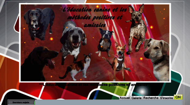 educationcanine.forumactif.com