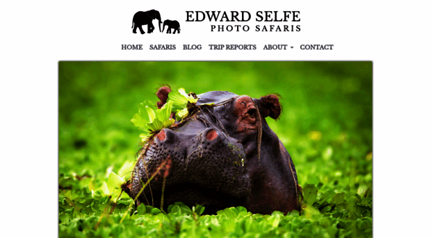 edwardselfephotography.com