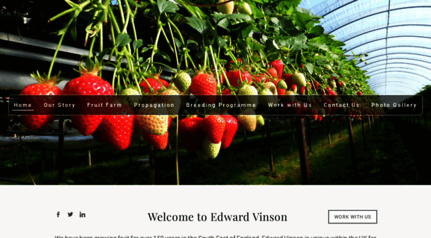 edwardvinson.co.uk