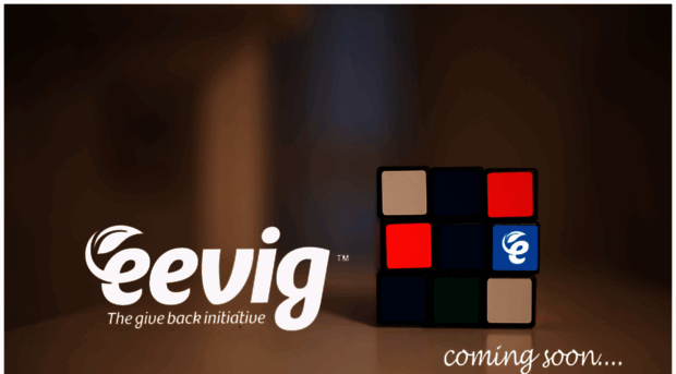 eevig.com