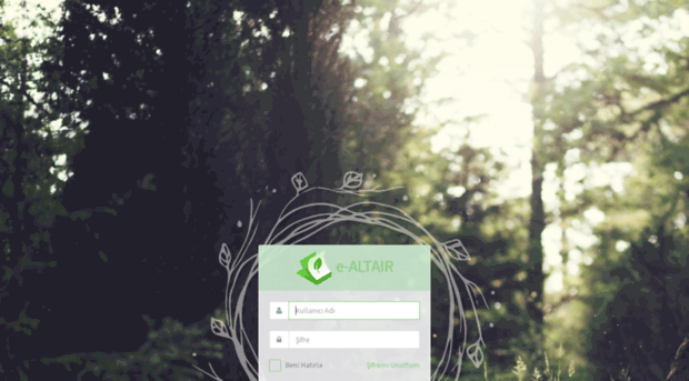 efatura-app.altair.com.tr