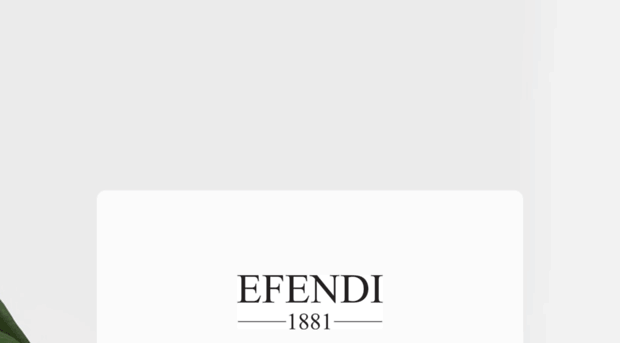 efendi.com