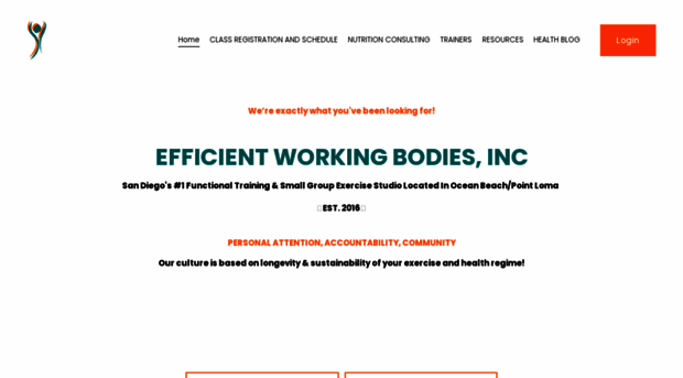 efficientworkingbodies.com