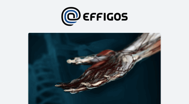 effigos.com