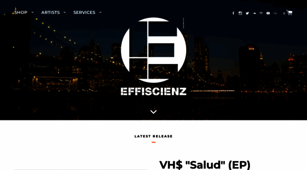 effiscienz.com