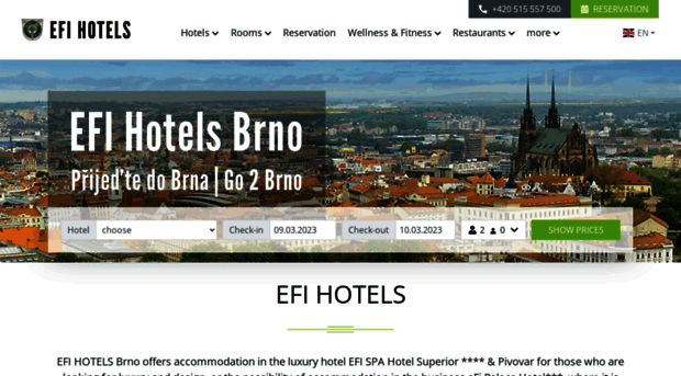 efihotel.eu