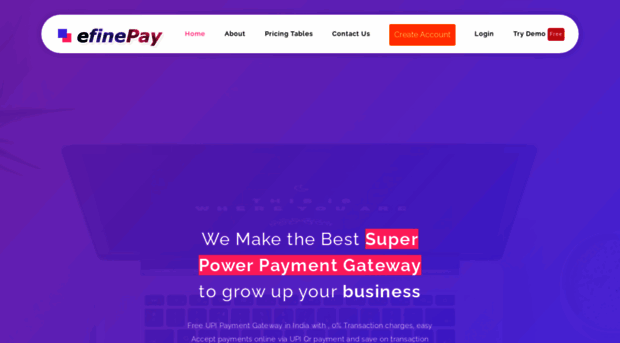 efinepay.com