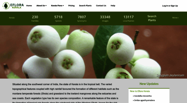 eflorakerala.com